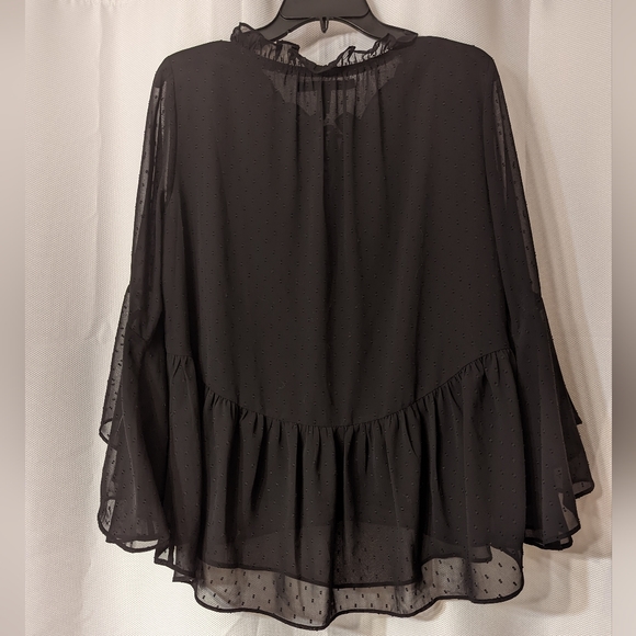 WHBM Sheer Blouse *Host Pick* - Picture 2 of 5